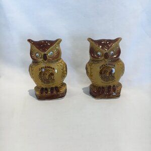 OWL Salt Pepper Shakers, Vintage Oklahoma Souvenir, Set of Two, Indian Chief